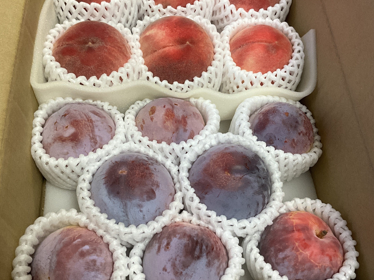 すずめ★すももの王様★貴陽　8個入り✖️2箱 生産者直送】でっかいじゃん！すももの王様 貴陽 8個（2個入り×4