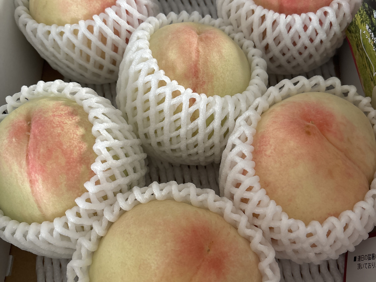 岡山の白桃　ご家庭用「加納岩白桃」　約4㎏　１４～２０玉　１０３ 2025 岡山 白桃 家庭用 中玉 4〜6玉入り 約1.2kg エース等級 桃 ギフト