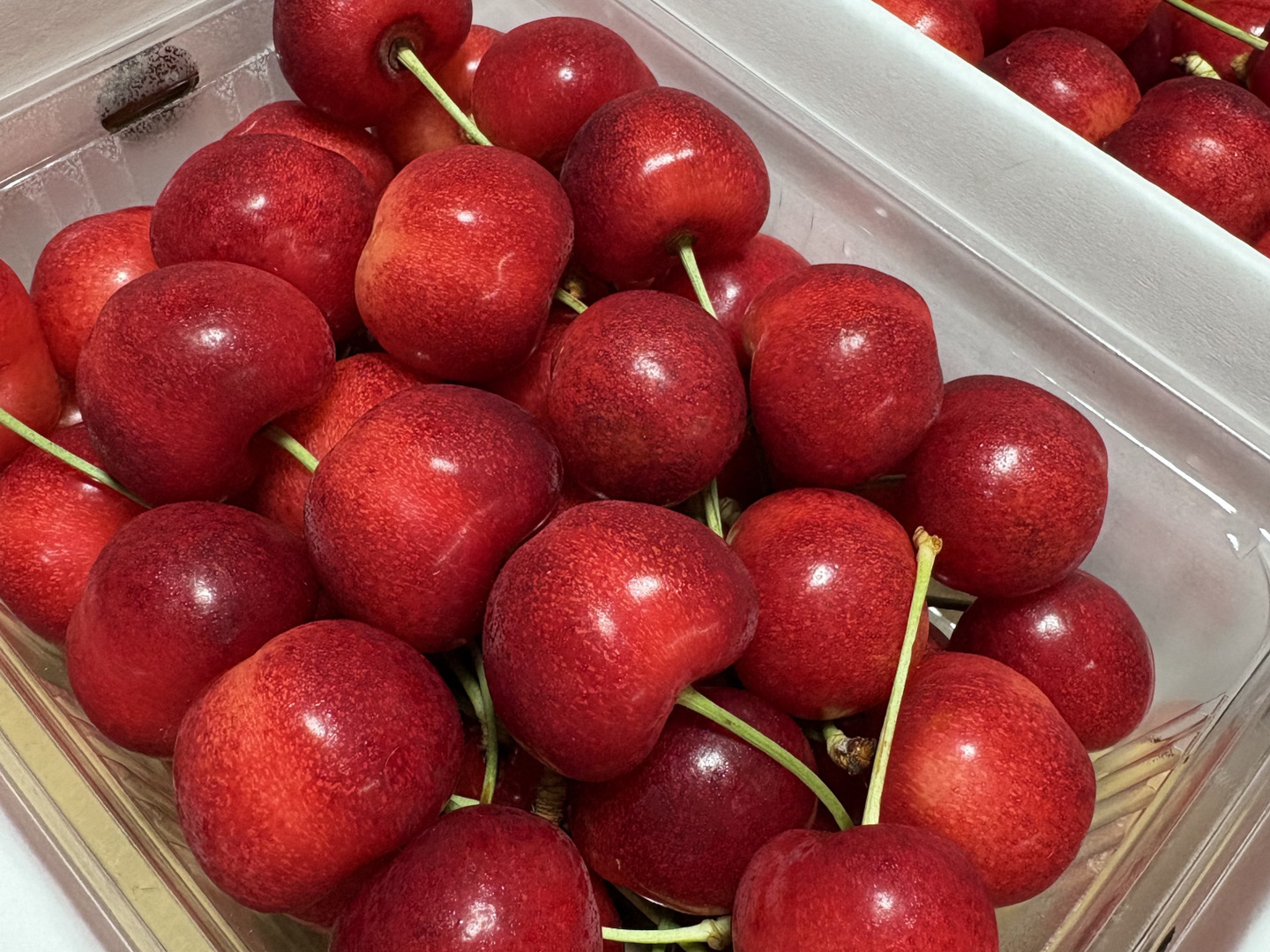 やまがた紅王】🍒1キロ🍒【2Lサイズ以上】【さくらんぼ】【話題の新