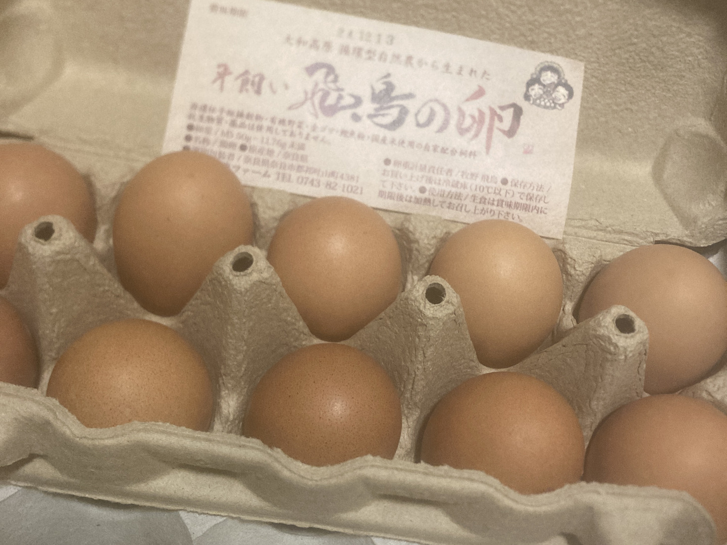 【福袋セール】 平飼い 輝く初卵 初産み卵 20個 〜縁起物:命みなぎる若鳥からの 果物