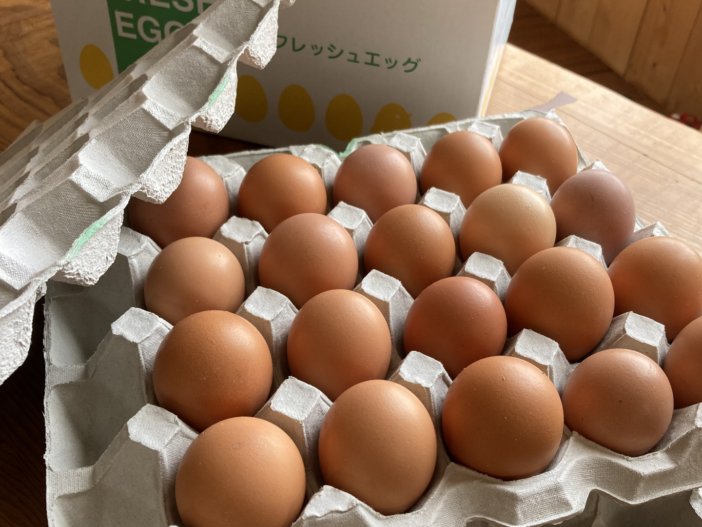 北海道平飼い自然卵】純国産鶏もみじ40個入り（36個＋破卵補償分