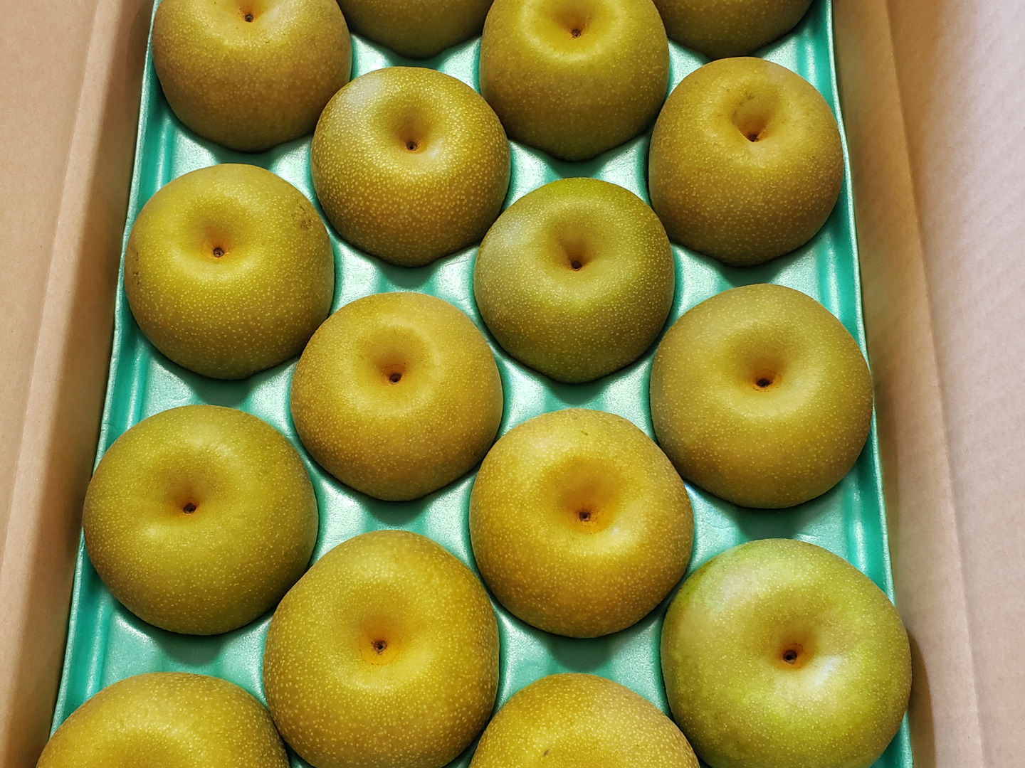 南信州産 幸水 梨 5kg 20玉 贈答用 美品 贈答品】梨 幸水 秀品 5Kg箱 中玉（16玉 ~ 18玉)_2025：千葉県産の