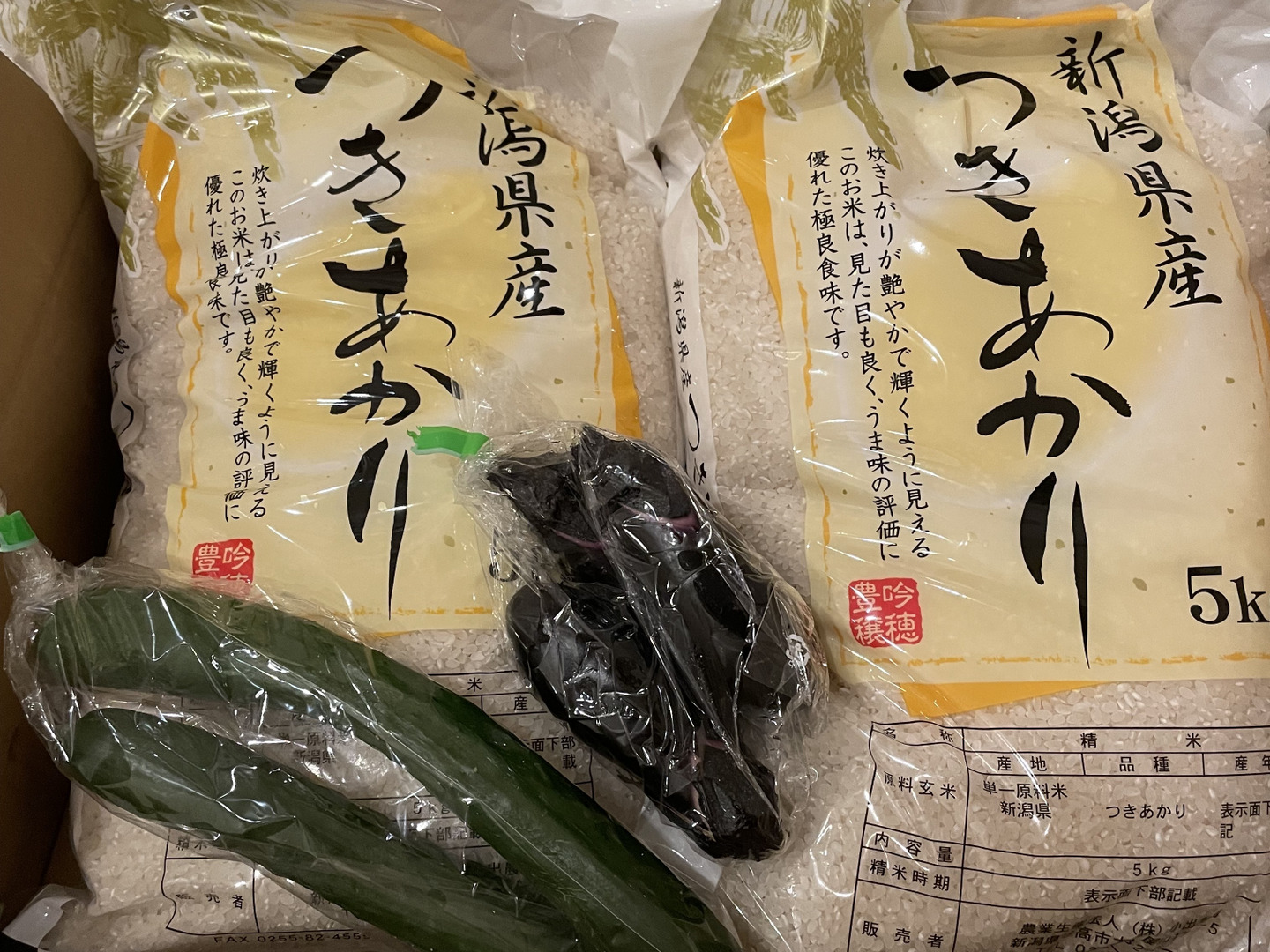 お米 米 新潟県産 新潟産 つきあかり 10kg 白米 令和6年産 令和