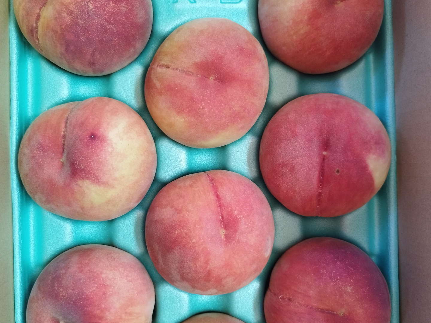 家庭用 川中島白桃 3k 6玉〜12玉:山形県産の白桃|食べチョク 家庭用 川中島白桃 3k 6玉〜12玉:山形県産の白桃|食べチョク