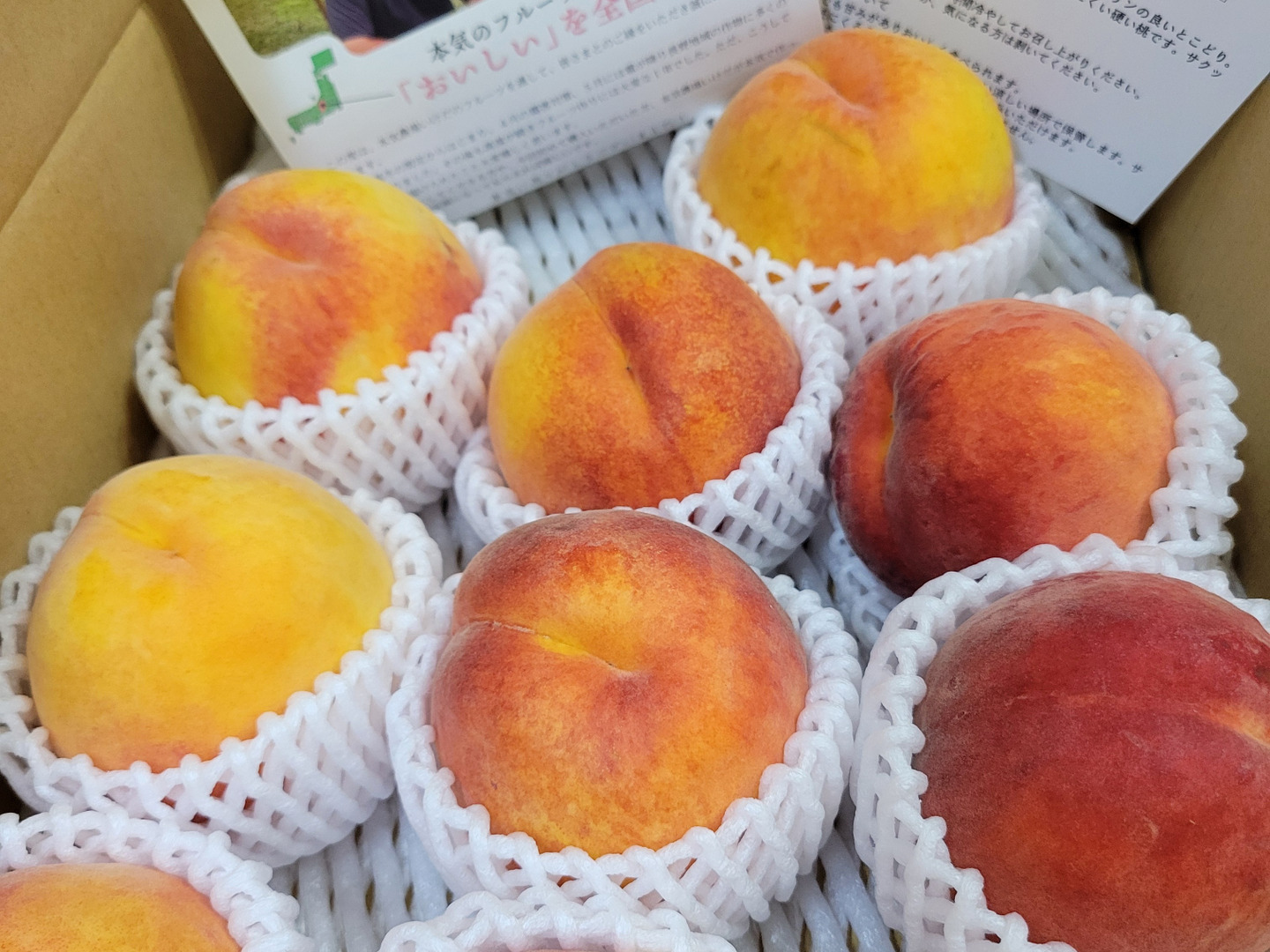 12早生ワッサー家庭用3キロ2箱 300円引き】クセになる食感！早生ワッサー 家庭用 約2.4kg（10
