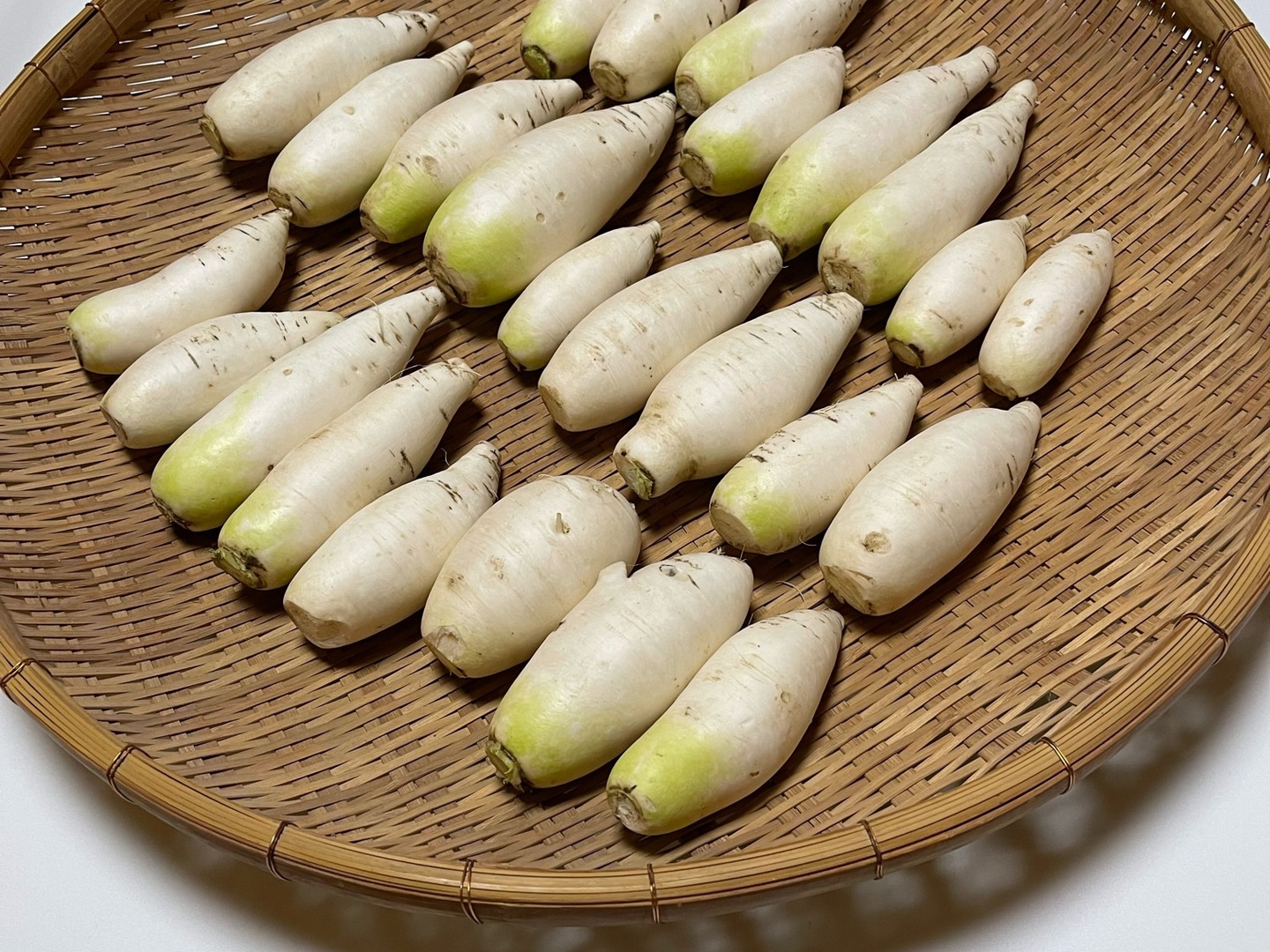 おろしそばに最適! 越前福井産辛味大根 4kg:福井県産の野菜|食べチョク|産地直送(産直)お取り寄せ通販 農家・漁師から旬の食材を直送