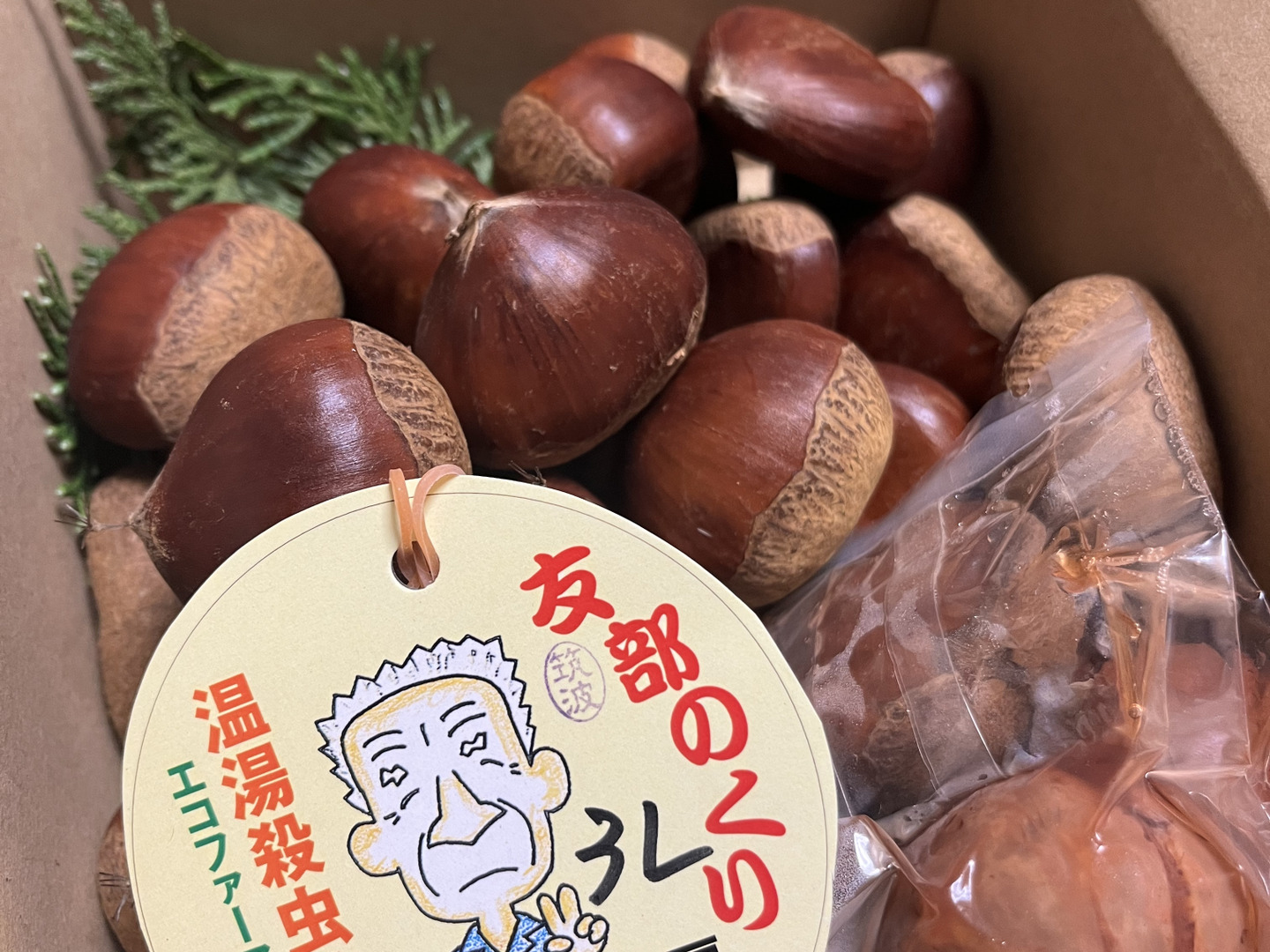 【価格据え置き】笠間の栗３Lサイズ×1kg（温湯殺虫済み）