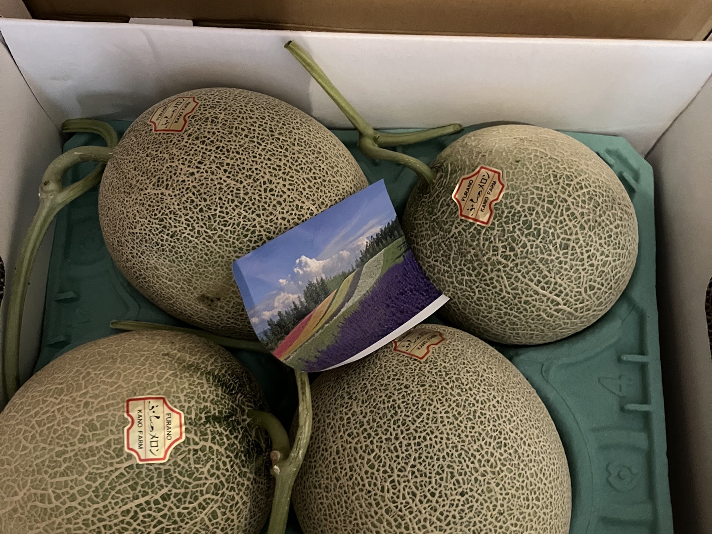 訳あり品 富良野産 赤肉メロン 大箱（4～7玉）家庭用！：北海道