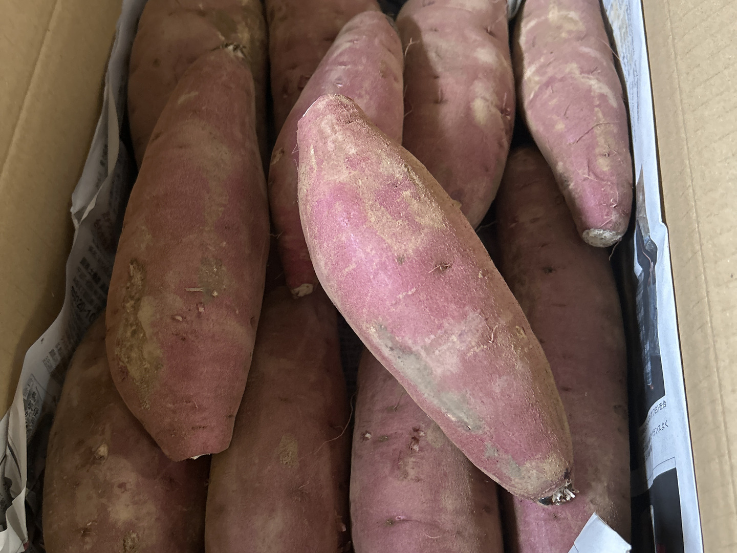 熟成1ヶ月超えでお届け！》紅はるか（5kg）(茨城県産)・(サツマイモ