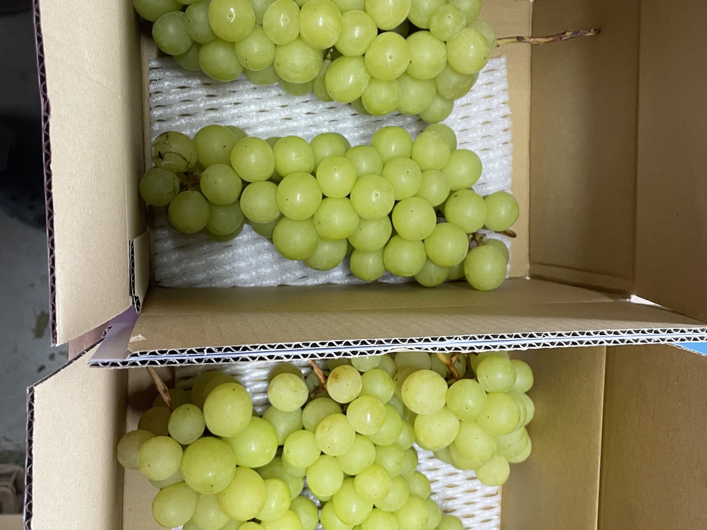 シャインマスカット(粒)  約４kg お買い得】粒、房が小さいシャインマスカット‼️4kg：長野県産の