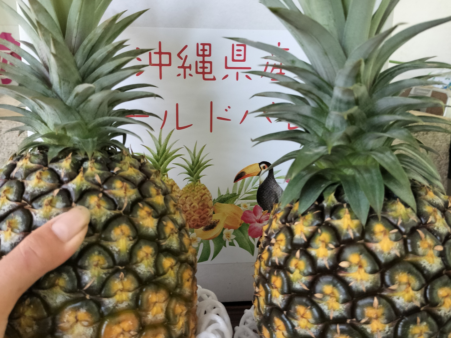 パイン　ゴールドバレル9㎏ 最高峰パイナップル》石垣島産ゴールドバレル2〜3玉【3kg以上