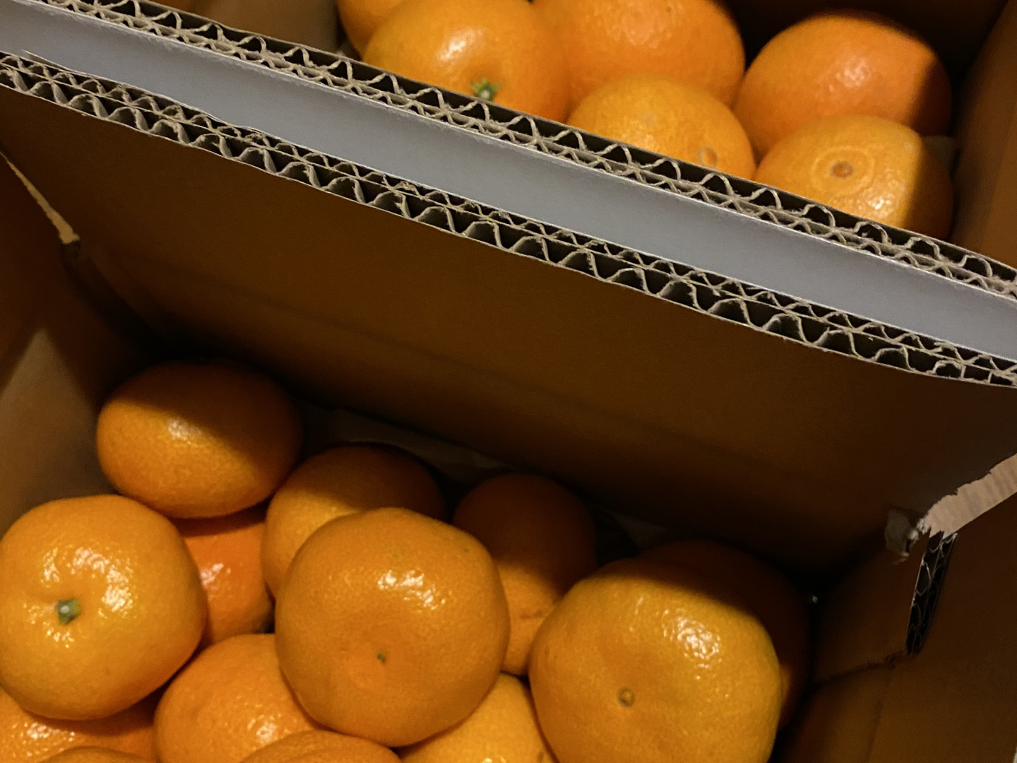 数量限定SALE 2kg まどんな ＋ 2kg【老舗農家厳選】【媛果まどんな 愛媛みかん 果物