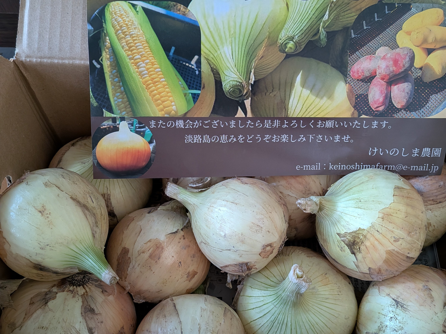 この時期だけ！！その甘さに感激！淡路島新玉ねぎ 5kg（早生・七宝