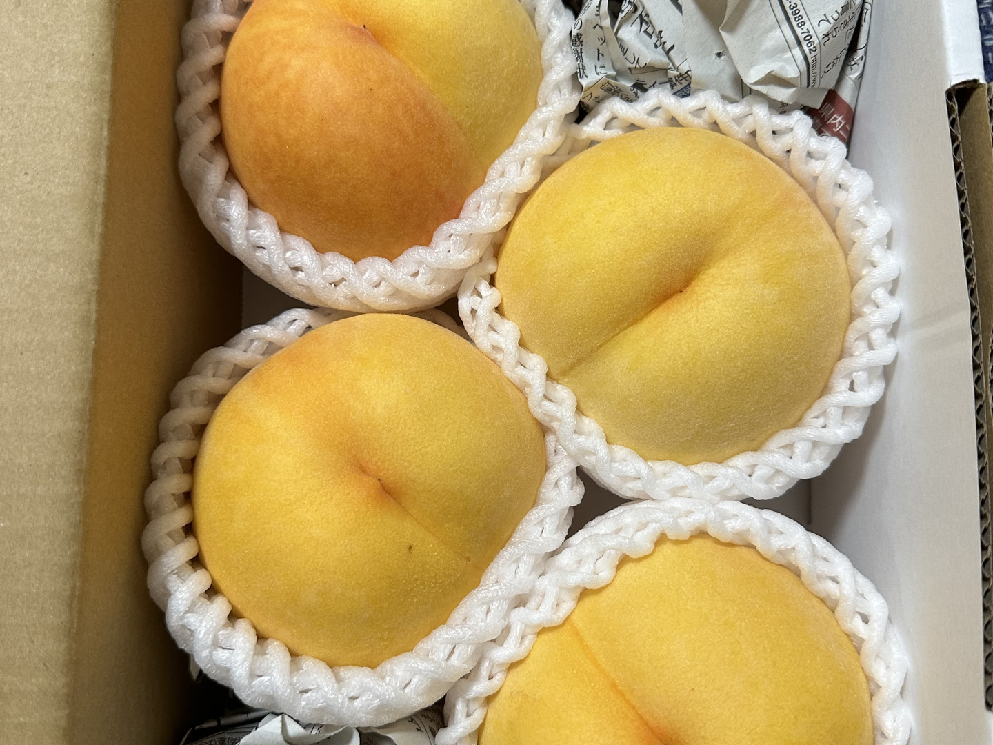 お届けは8月下旬～】黄金桃(おうち用)「桃なのにマンゴーの様な
