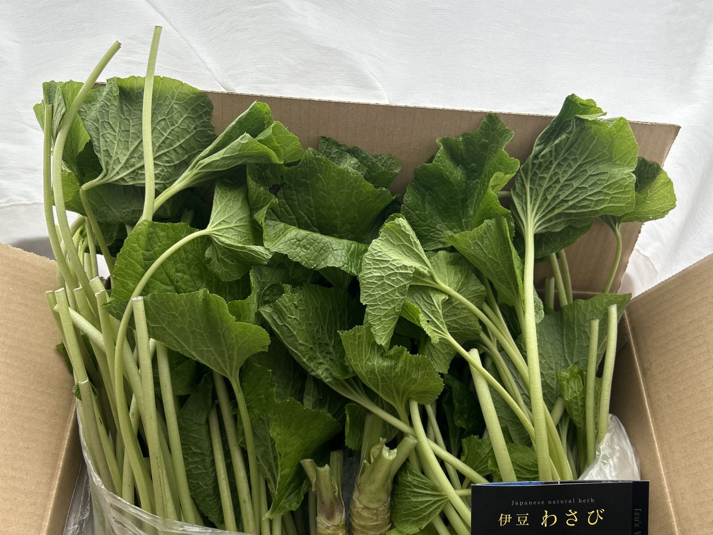 特価 葉ﾜｻﾋﾞ【1kg前後】訳ｱﾘ,お得,お試し,おまかせ：静岡県産の 野菜