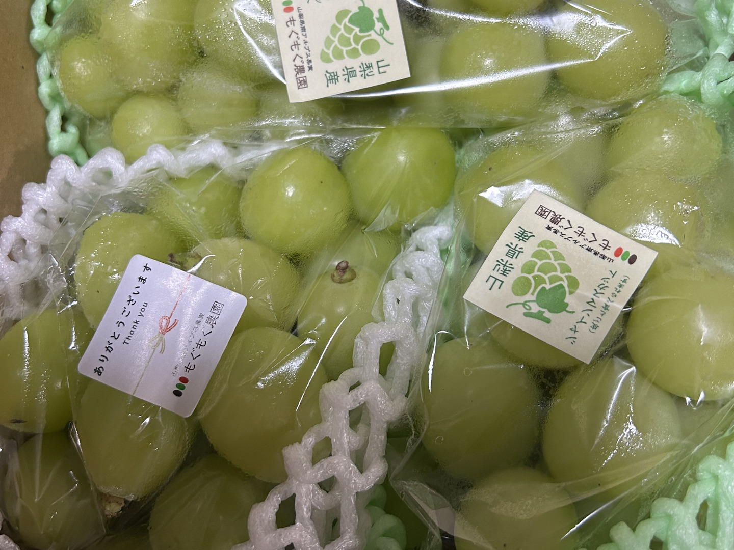 9周年感謝祭】シャインマスカット 1kg お楽しみ福箱【山梨県産】【ご