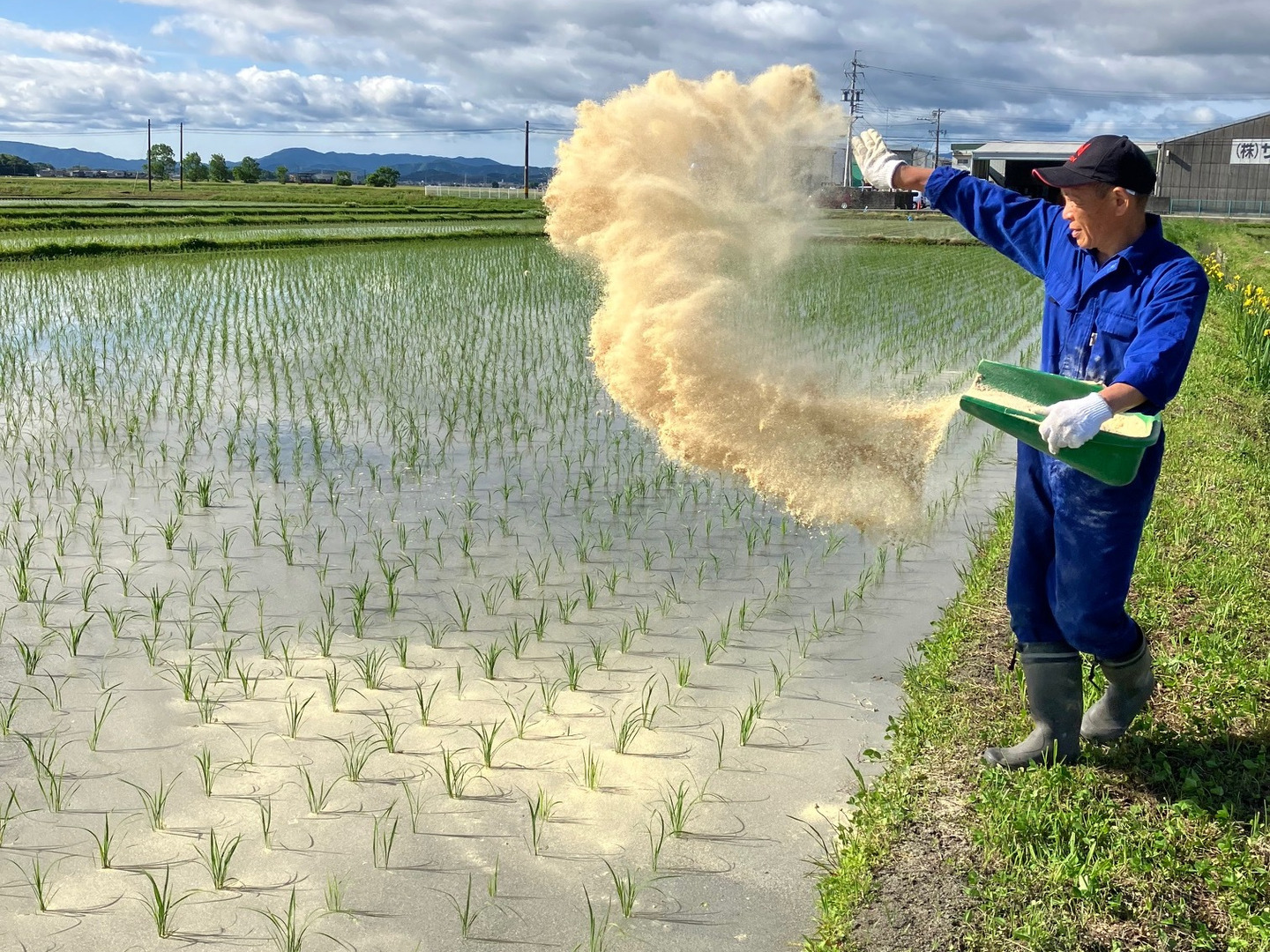 新米令和6年三重県産コシヒカリ 玄米10キロ