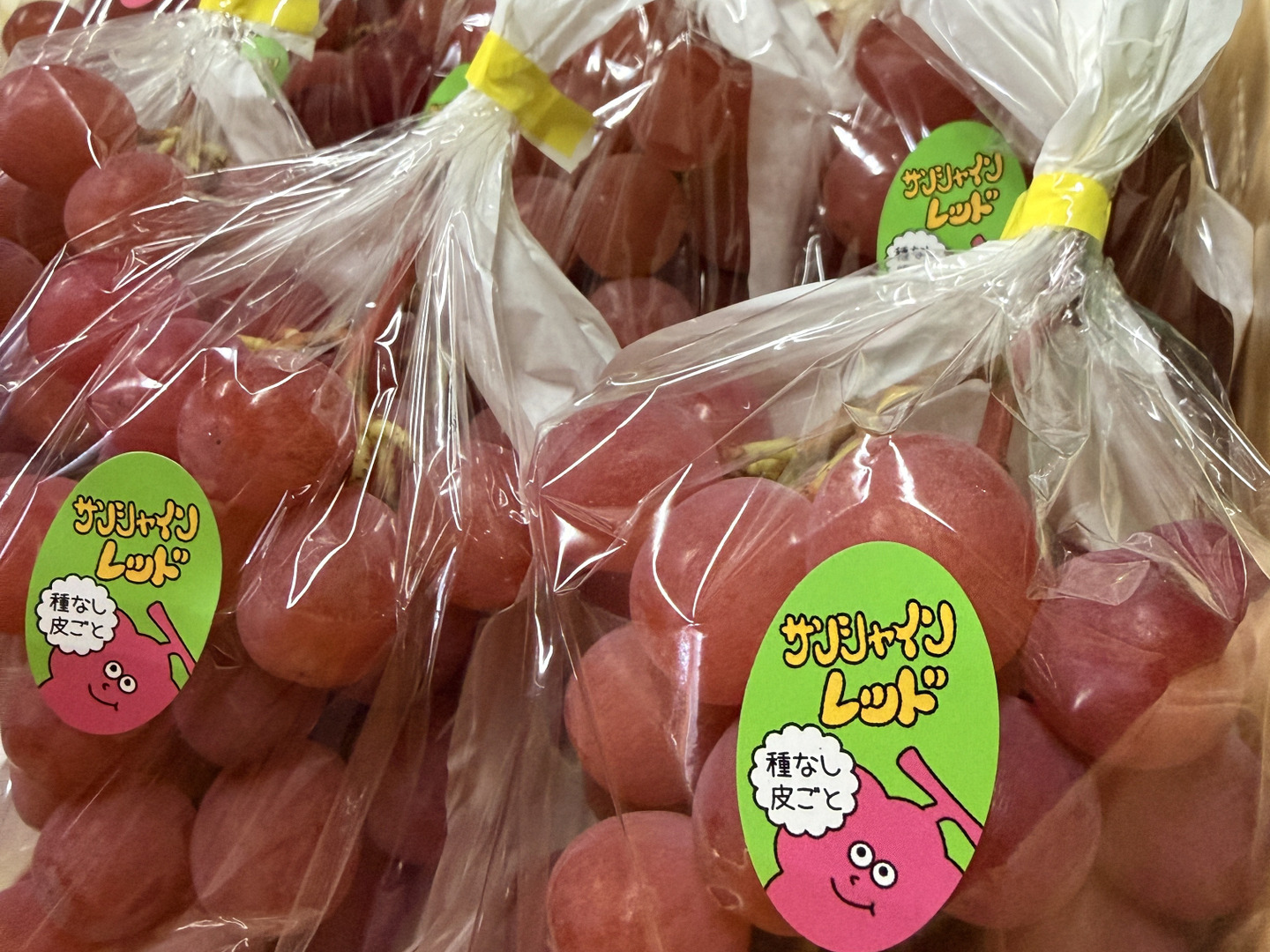 数量限定】サンシャインレッド mini｜小房2房 約700g：山梨県産の