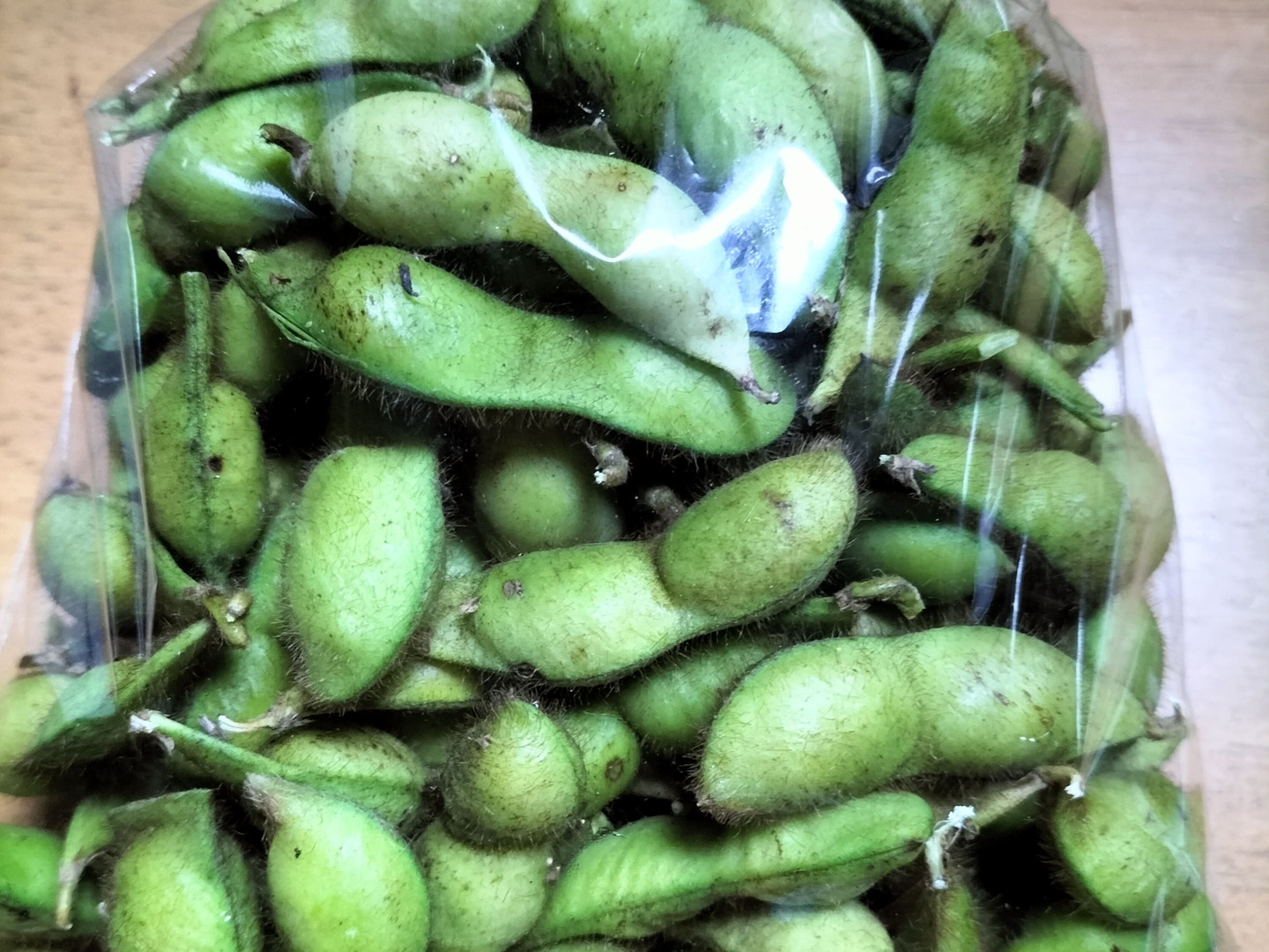 今が旬！！！】太陽のエネルギーが詰まった丹波の黒豆枝豆（500