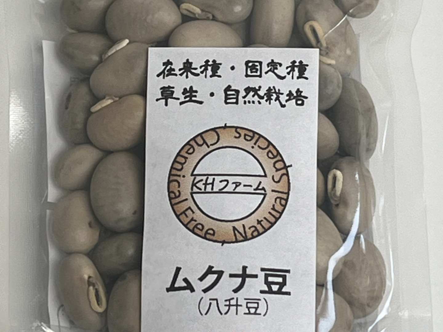 岡山産ムクナ豆15kg専用出品です！ 熊本産 乾燥 ムクナ豆 500g 【 送料無料 】 国産 栽培時農薬不