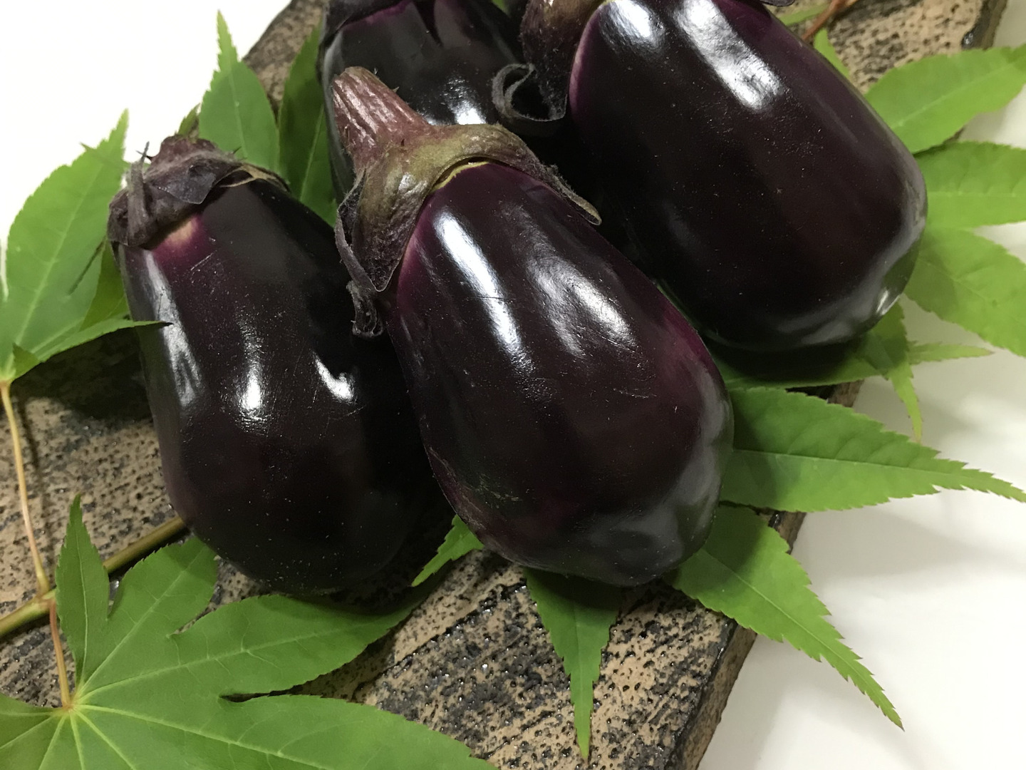 goun 丸茄子（早生大丸）Lサイズ 新潟市北区ブランド茄子 丸茄子（早生大丸）Lサイズ 新潟市北区ブランド茄子 12個 - メルカリ