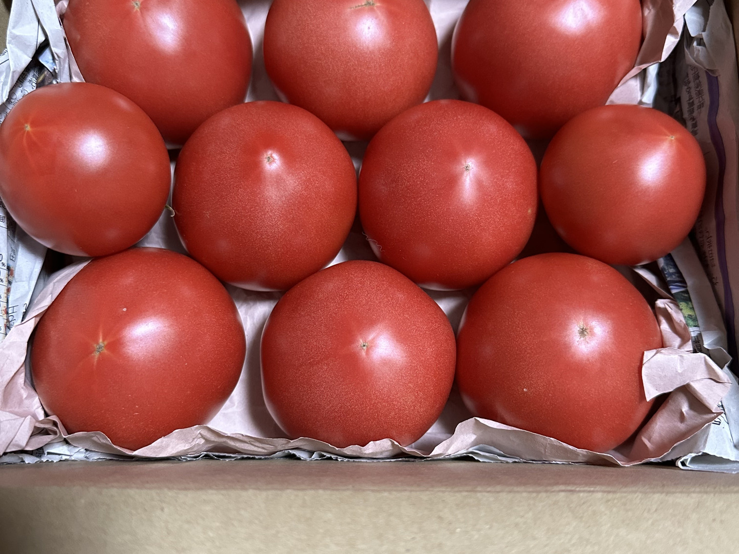 今が旬♪夏の王様トマト🍅赤熟もぎりの【麗月】8〜9玉詰め