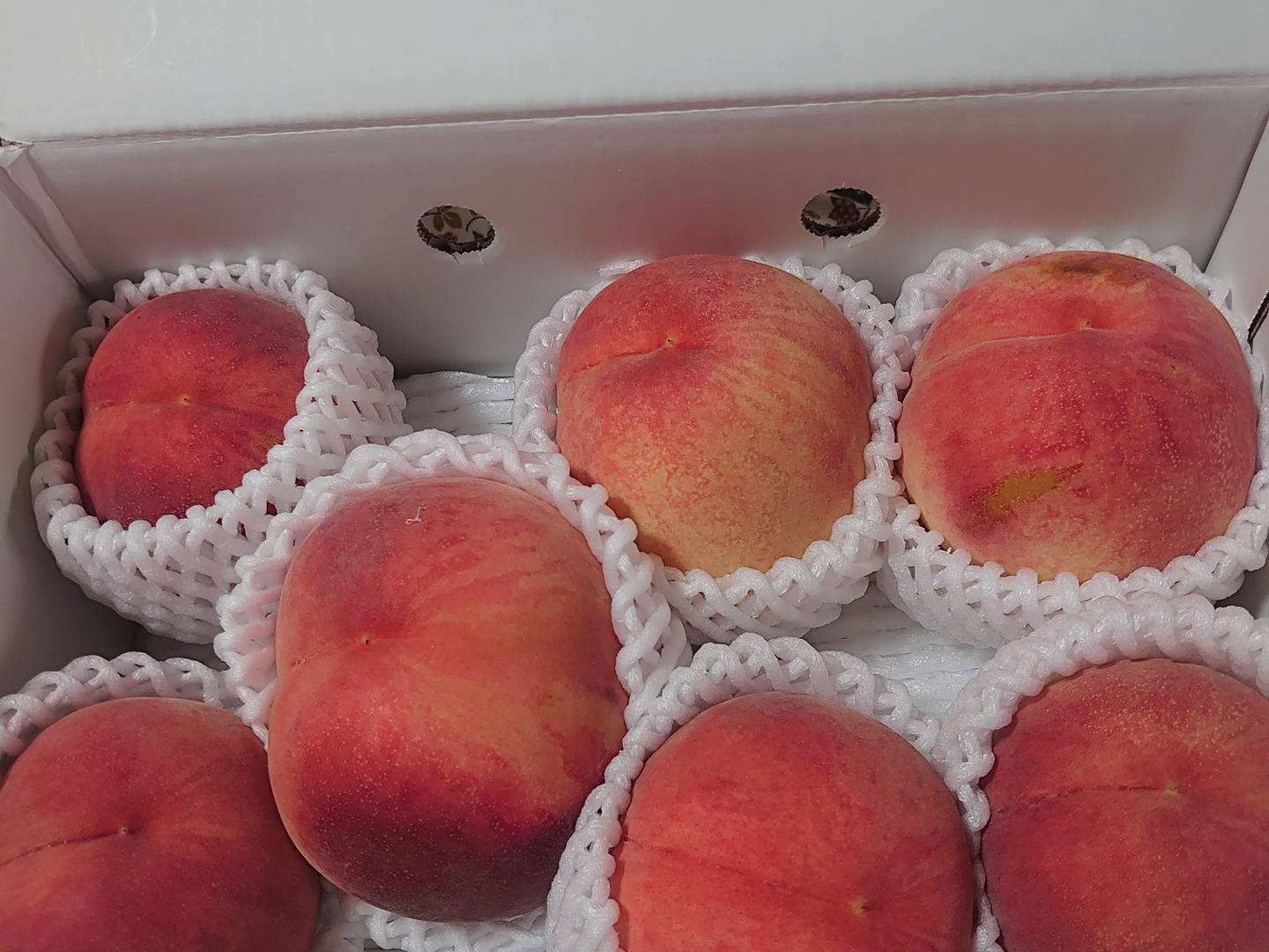 桃名人厳選 桃【ご家庭用 訳あり商品】白桃約2kg(5-9玉