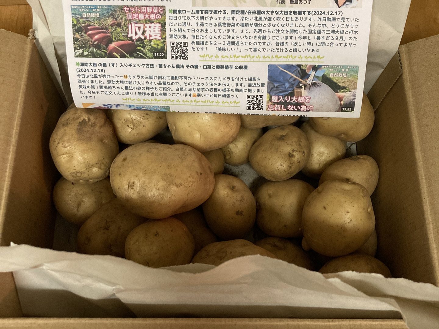 種芋】デジマ 長崎県産 17〜18キロ（20kg袋です）翌日までに発送