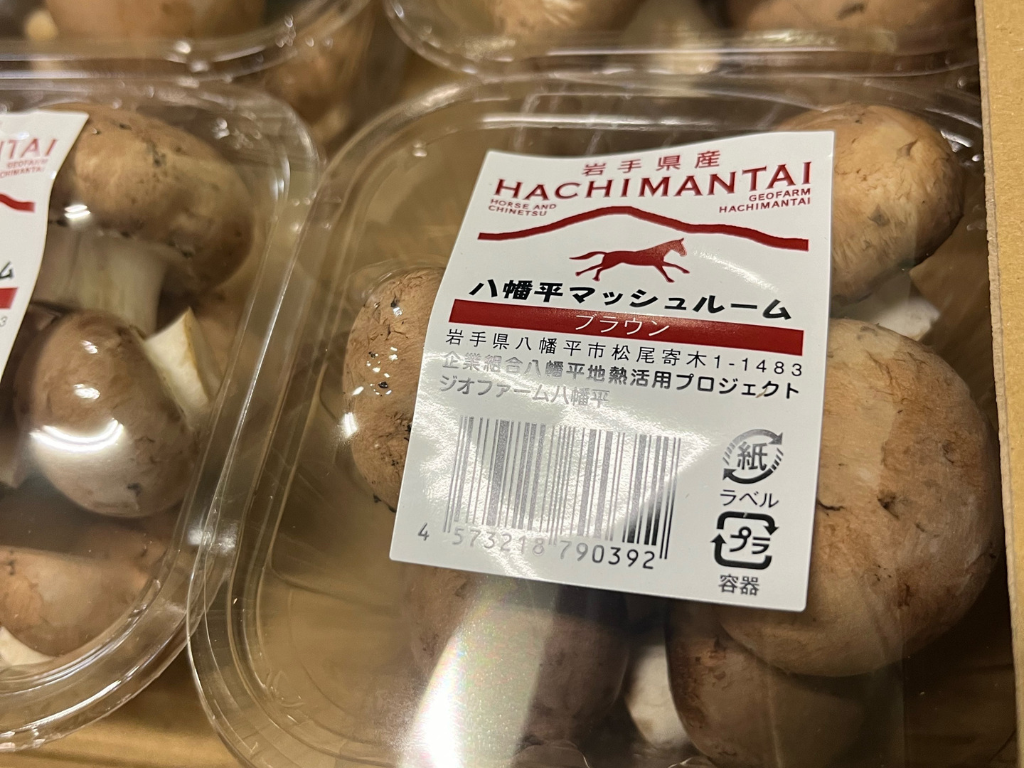 料理王国100選2024