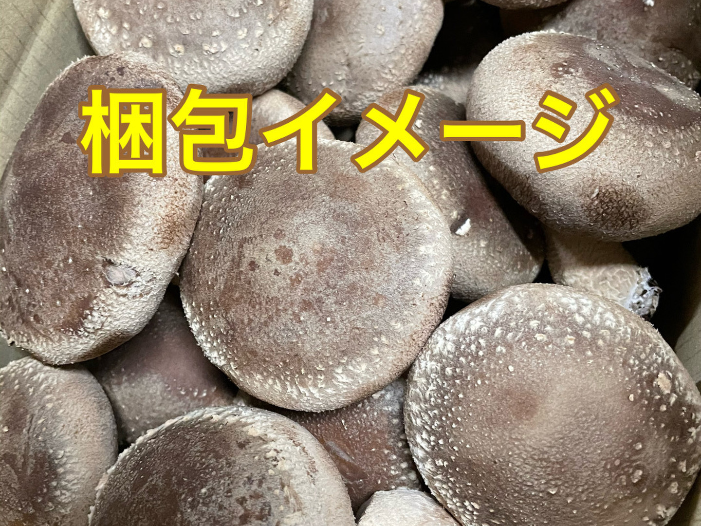 高評価の贈り物 497a3a6125f8b8d50f6c4d86a6266f 野菜