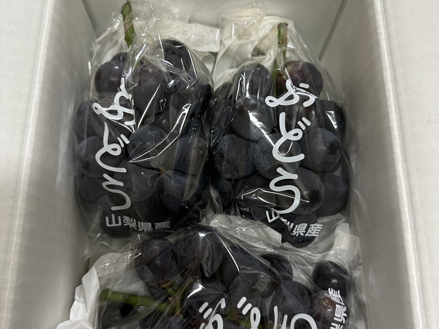 すぐ発送！💜朝採れ山梨種無し巨峰】1キロ2房でお届け！一度