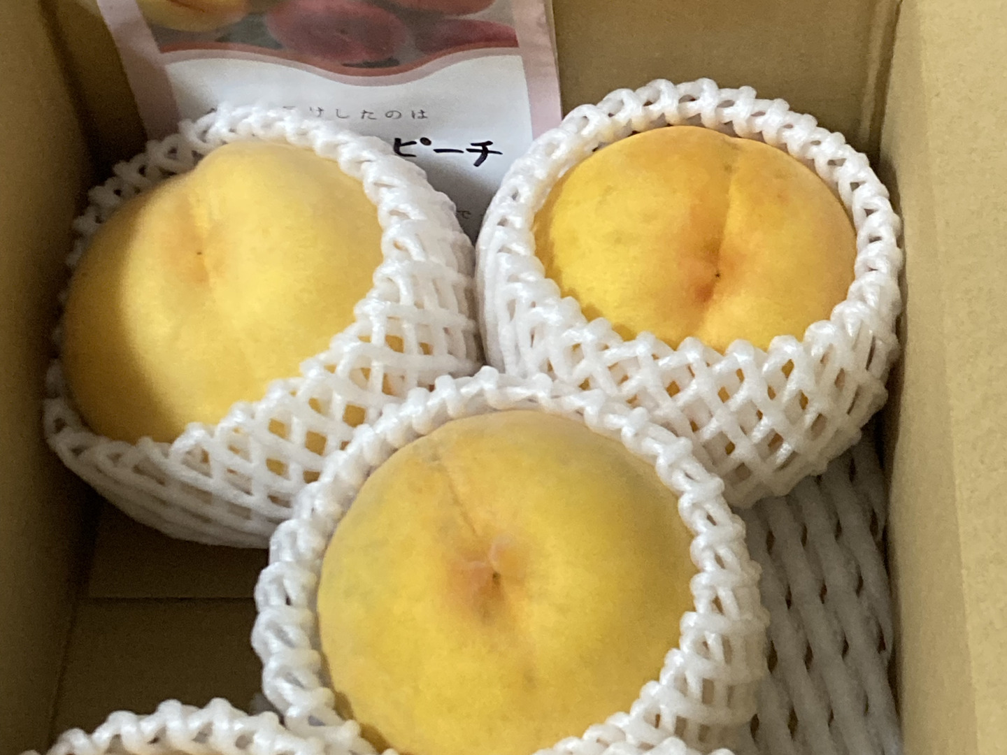 大人気！【まるでマンゴー!?】ゴールデンピーチ!!1.5kg：長野県
