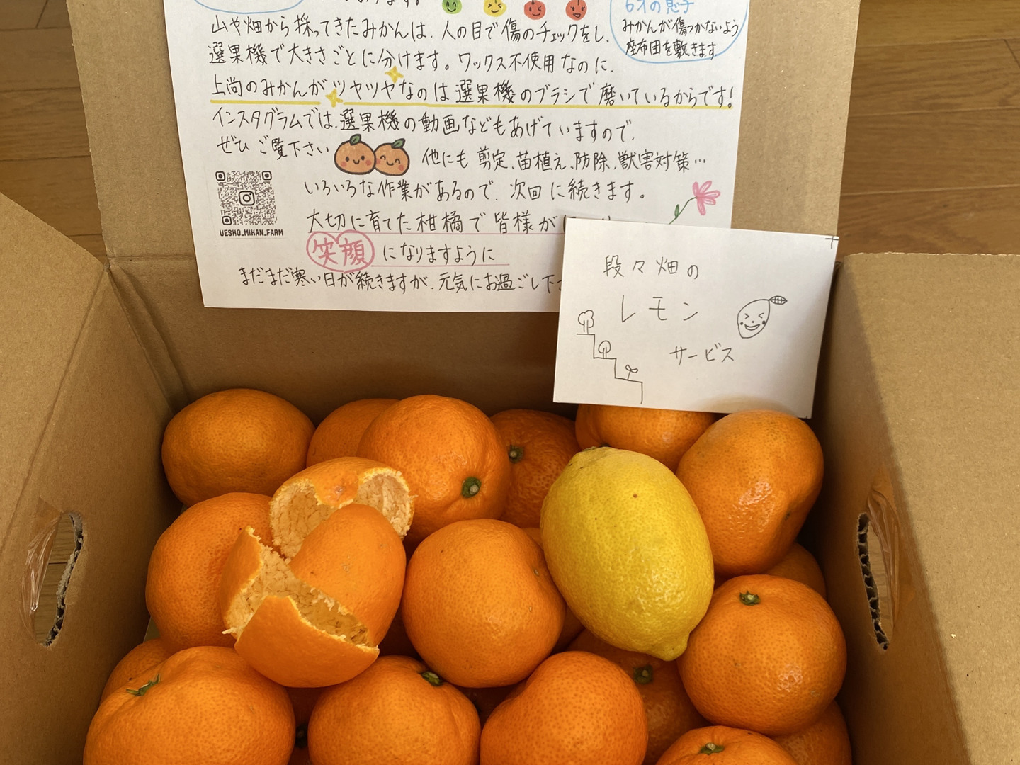プラスチックみかん1000個