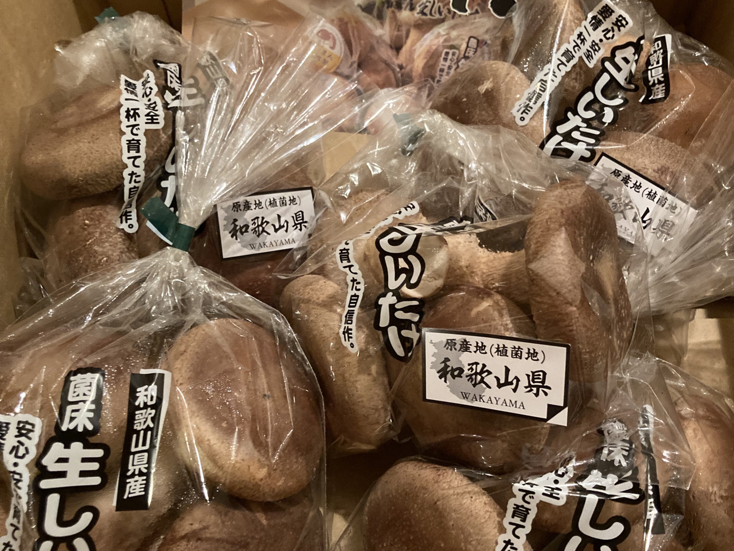 一流の品質 肉厚ボリュームの菌床生しいたけ1㎏！：和歌山県産のシイタケ 野菜