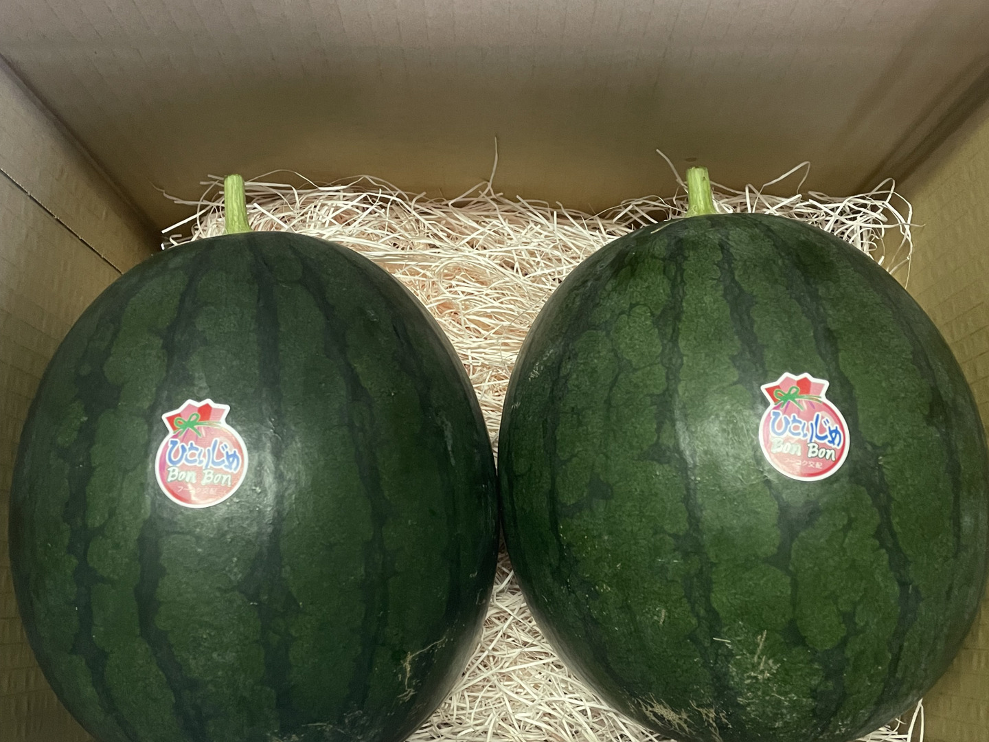 ご家庭用】京都産 ひとりじめボンボン 小玉スイカ 2玉セット（約6kg