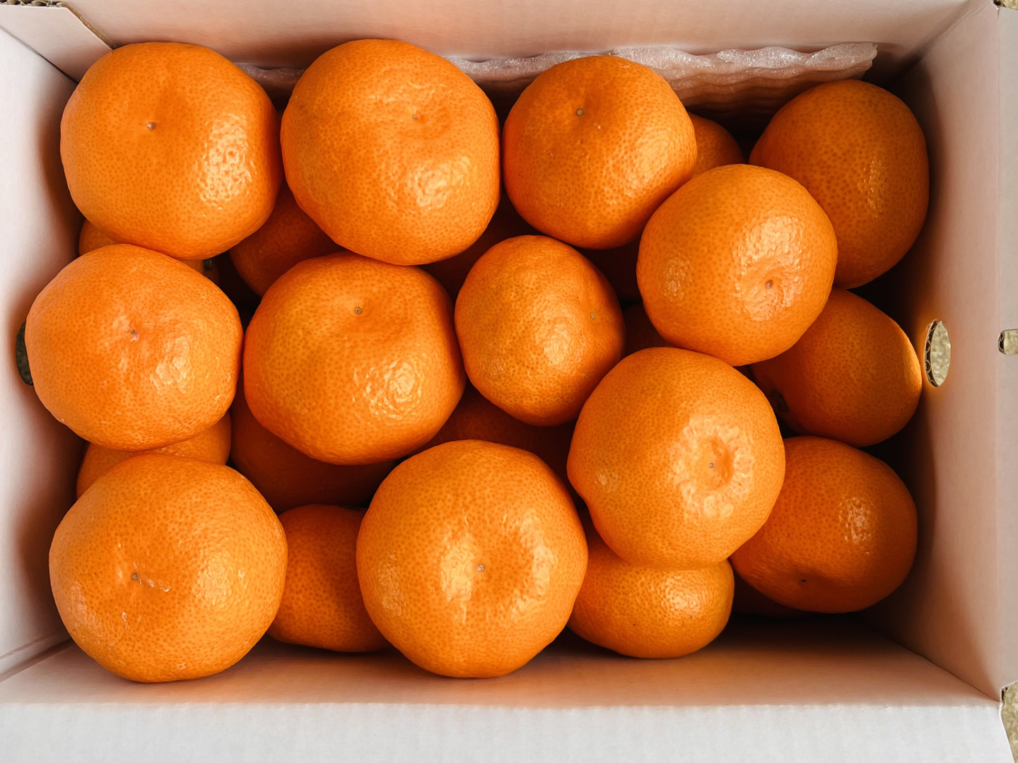 定番 温州みかん 真穴産 南柑20号 箱込み3kg S～2Lサイズ サイズ混合 果物
