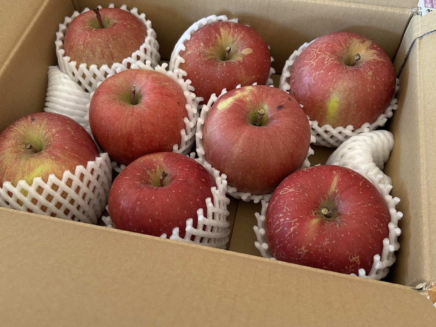 お歳暮 のし 販売開始！人気商品】青森県産りんご「サンふじ」家庭用 キズ有 果物