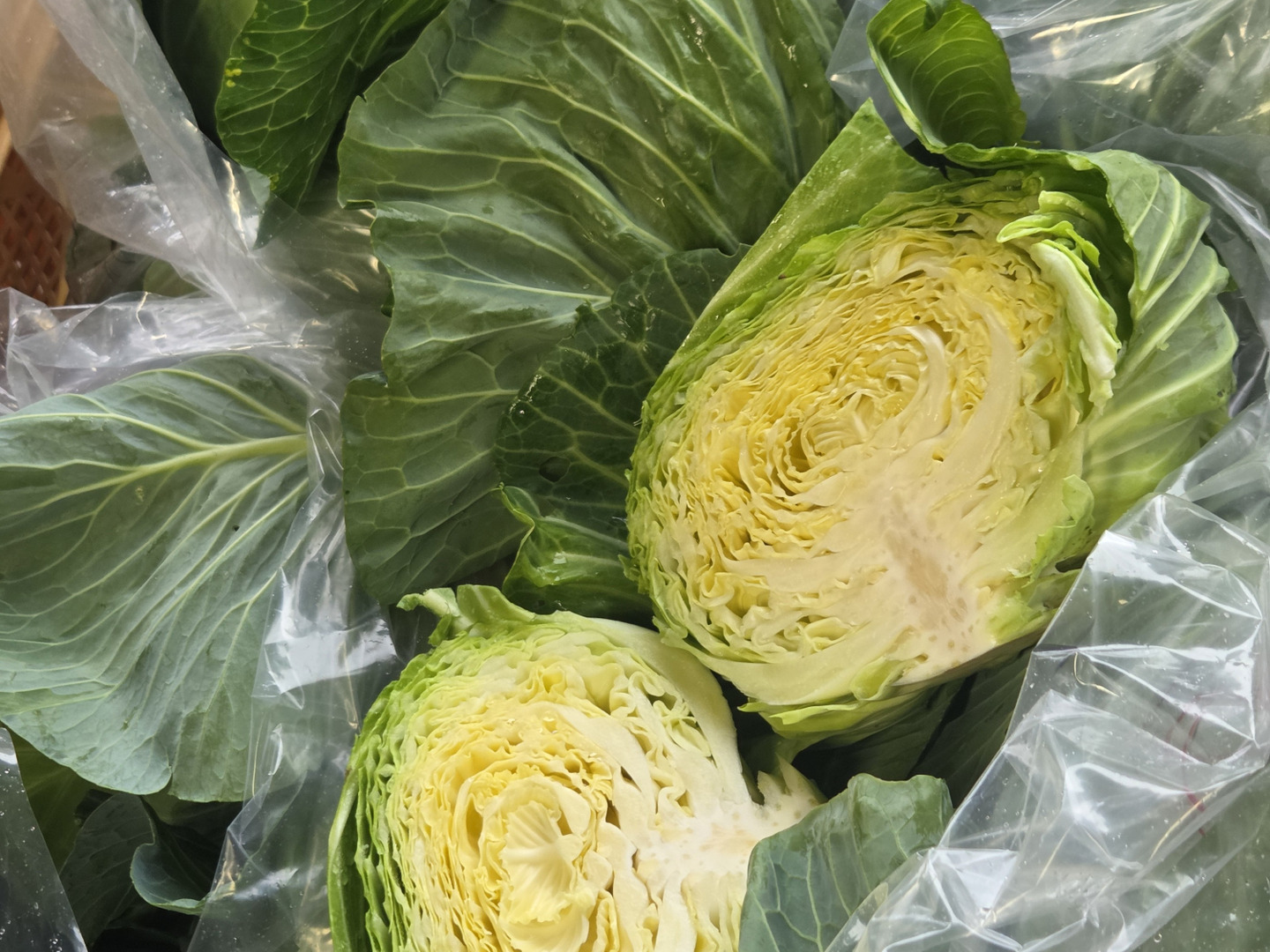 自然栽培 キャベツ×ミニ大根：青森県産の野菜セット｜食べチョク｜産地