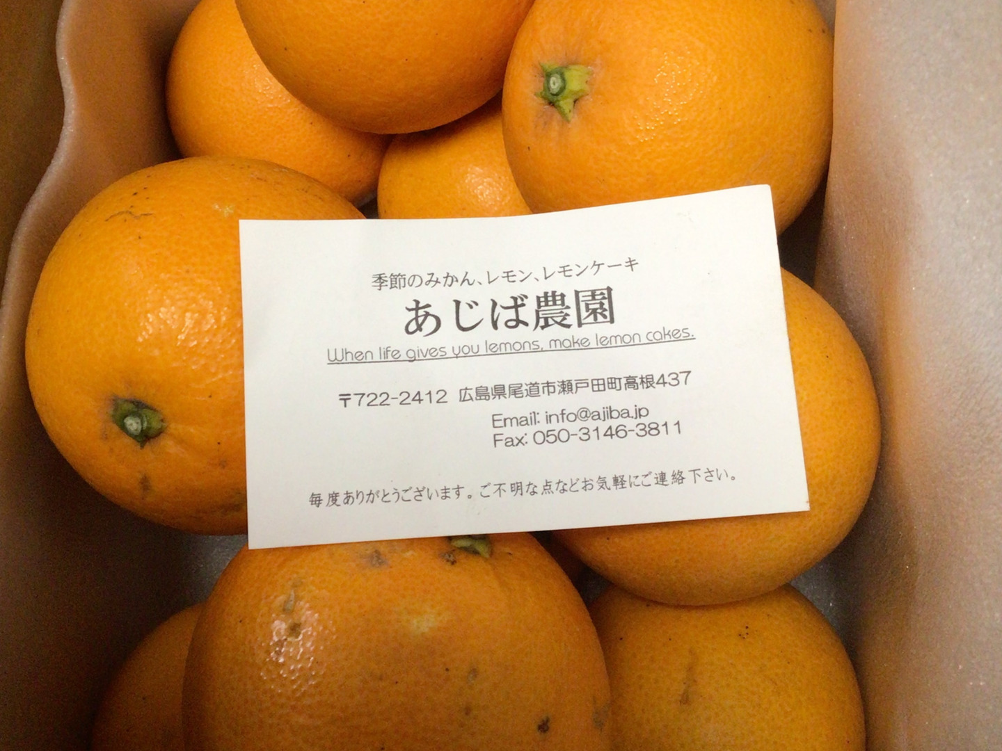 初売りセール 無・ネーブルオレンジ1.8kg：広島県産のみかん・柑橘類｜食べ 果物
