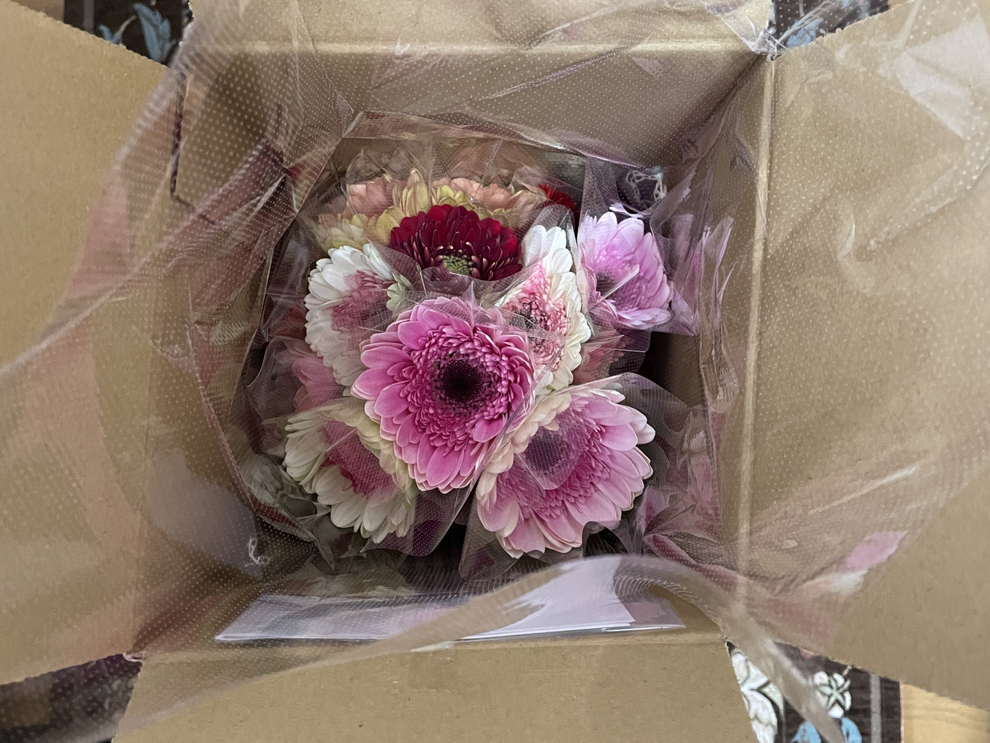 花農家直送！！クルクマ20本❀ガーベラ60本❀菊❀ 花農家直送！！クルクマ20本❀ ガーベラ60本❀ 140サイズ 期間