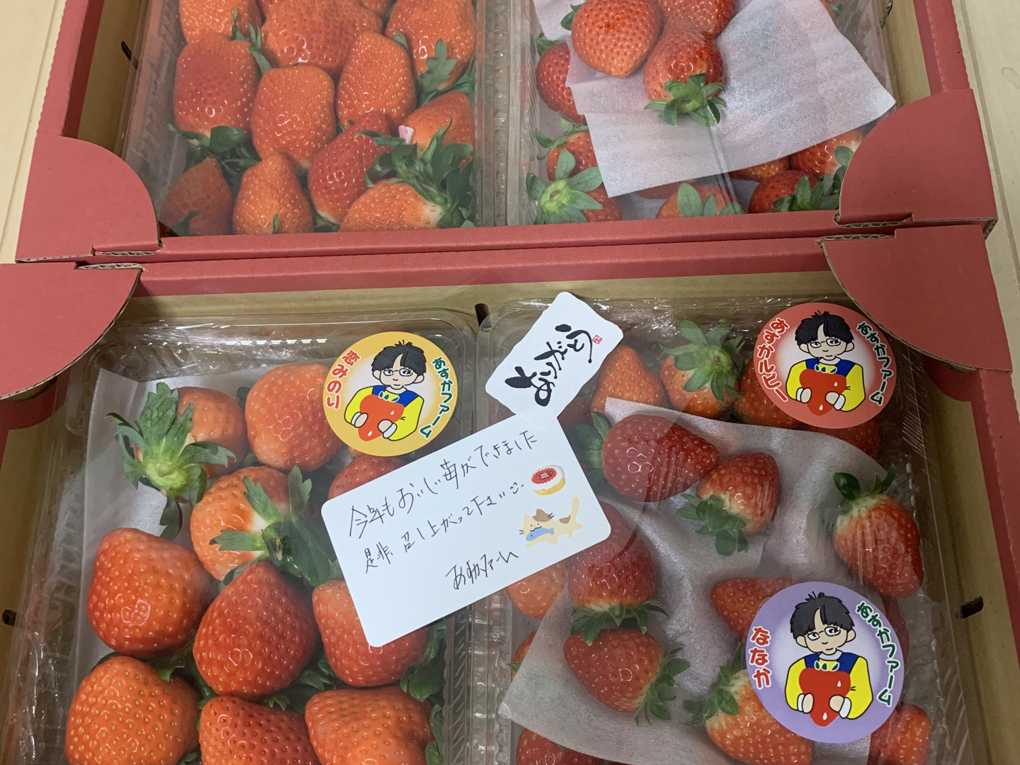 上品な いちご食べ比べ】🍓4種類食べ比べ 🍓こだわりの栽培で味が濃 果物