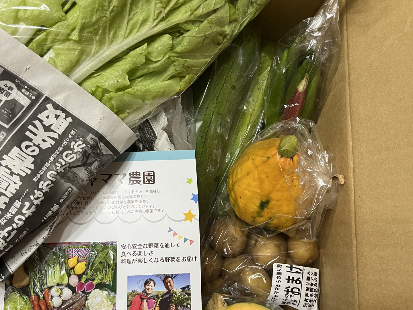 お楽しみ☆農園自慢の情熱野菜セット 7袋 発送タイミング
