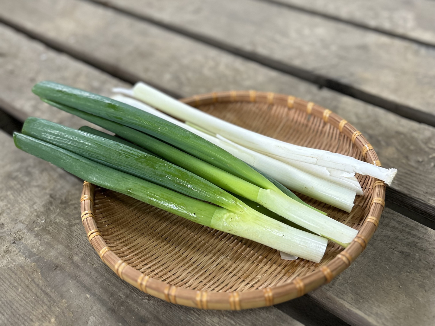 【 開梱 設置?無料 】 54ca2b56d17394253e869d20c0ae45 野菜
