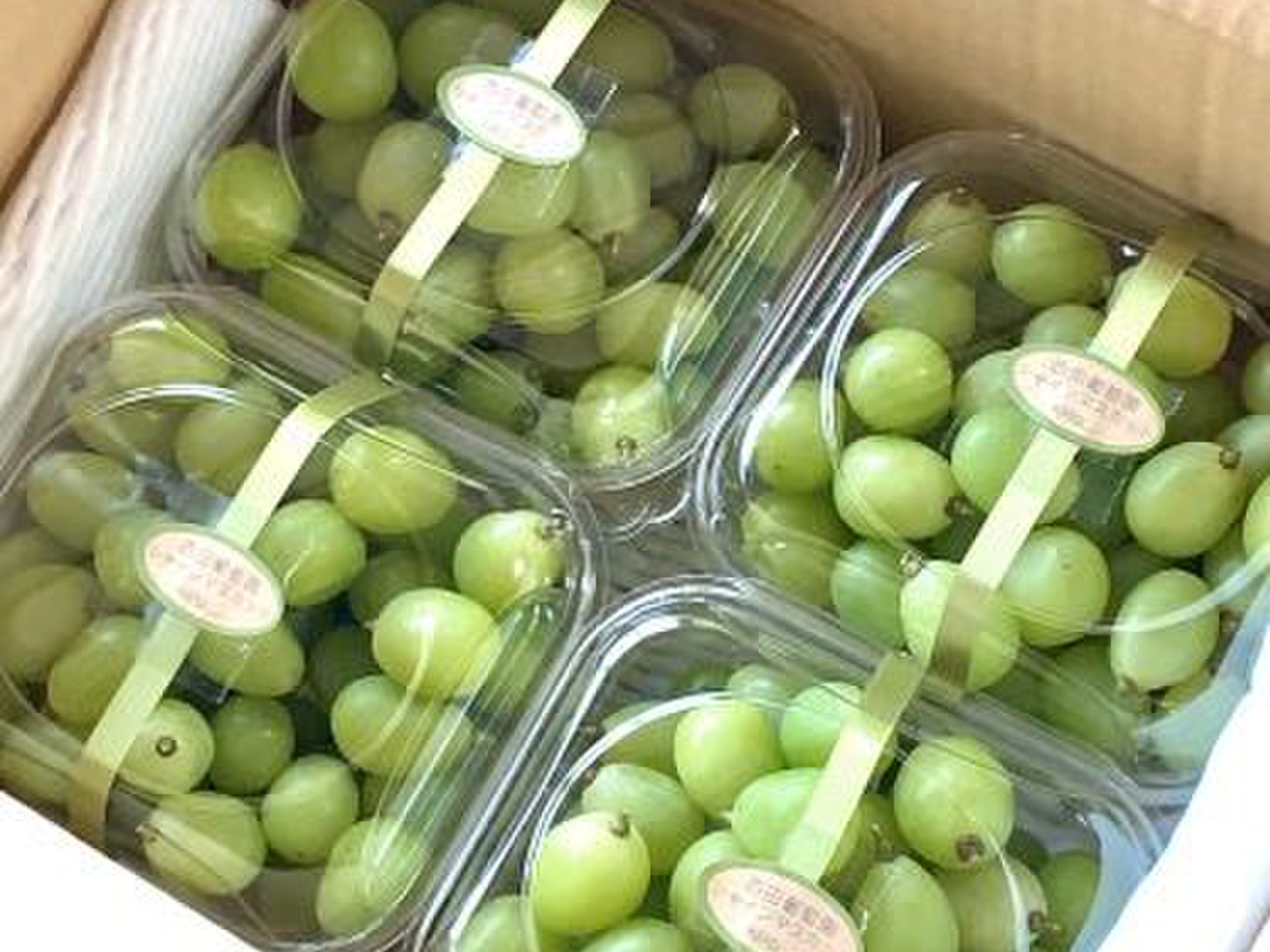 55b7210b50701369cb473b4187e09f