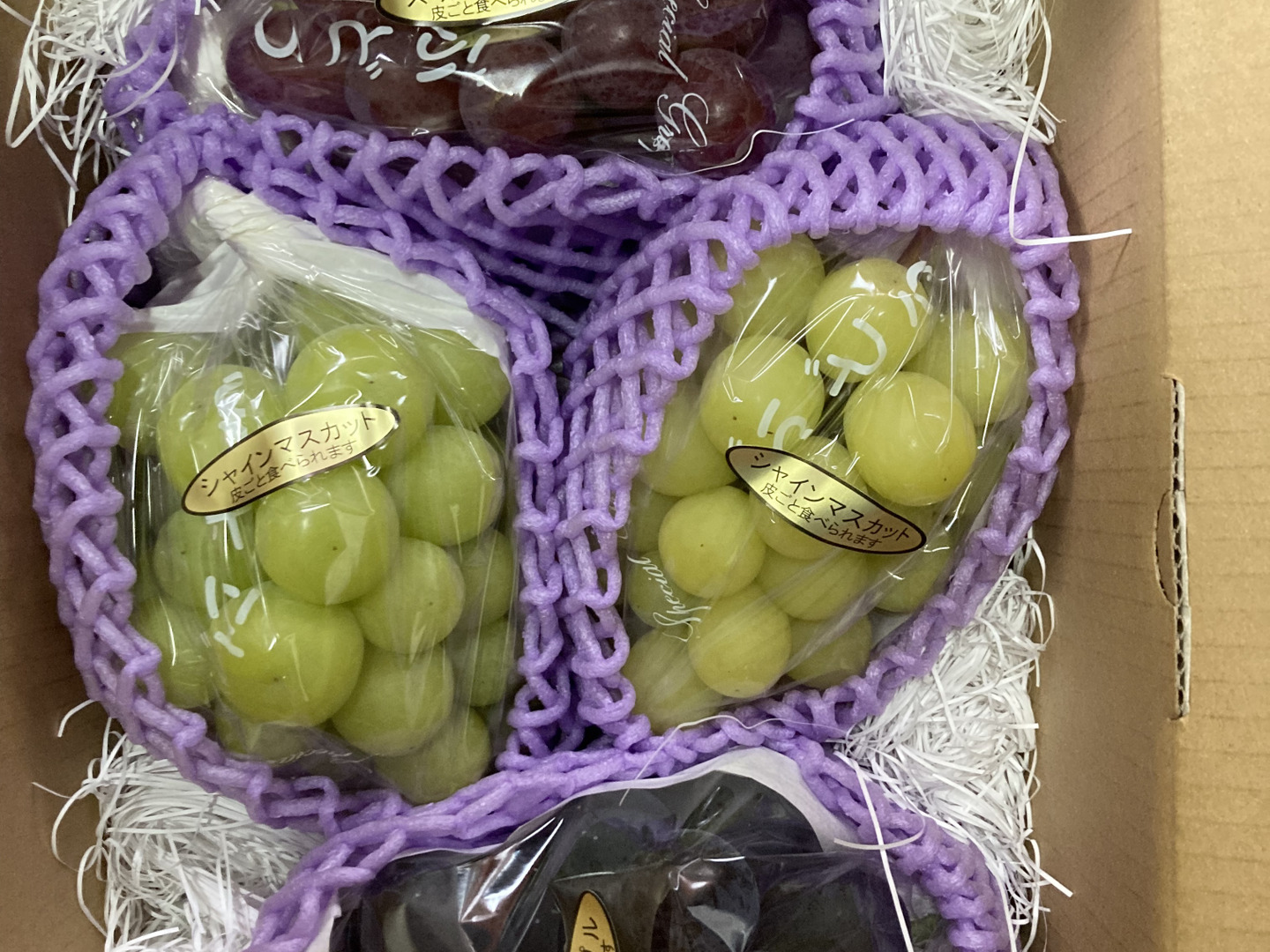 5731dee9b09e4810e83351d532040e