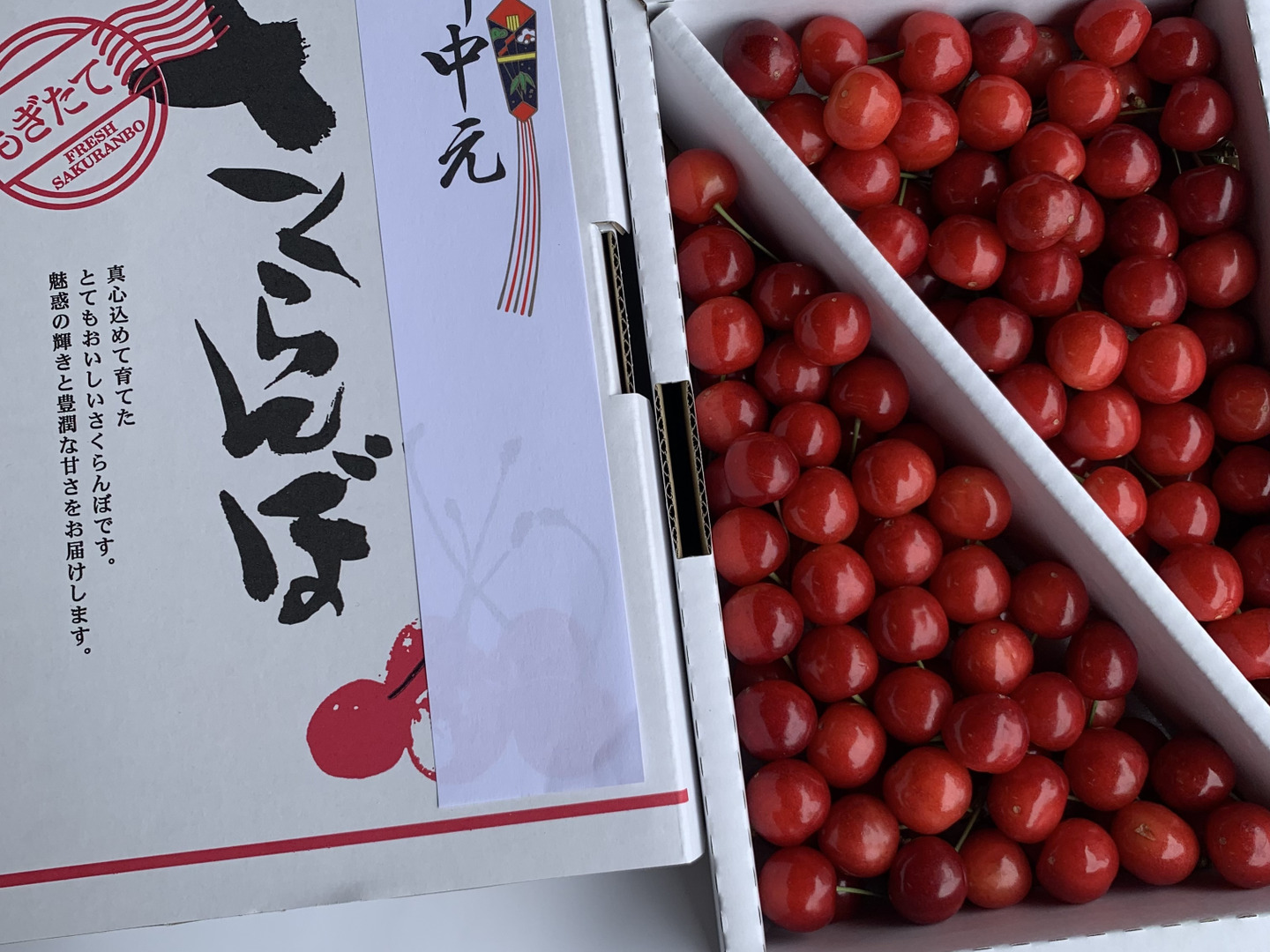 常温便】朝どりさくらんぼを直送！M～2Lサイズ800gご自宅用