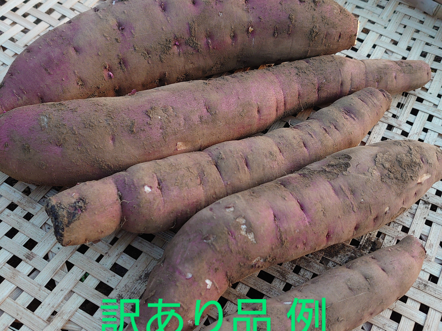農薬化学肥料不使用】【訳あり】しっとり甘いオレンジ色