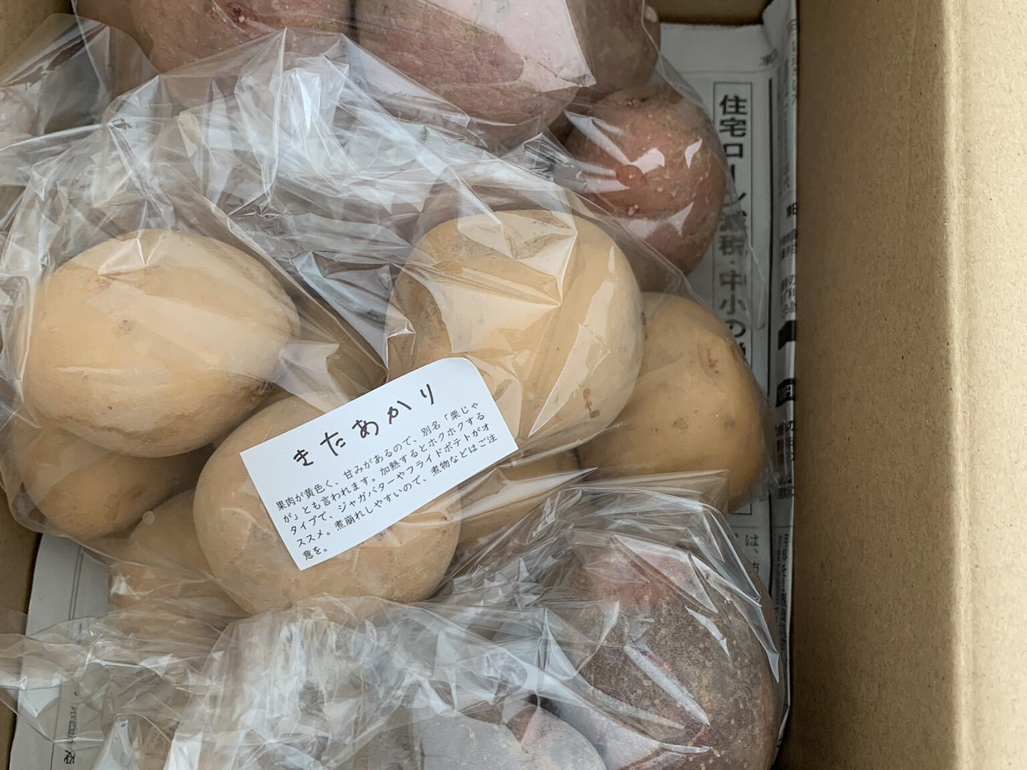 ジャガイモが作ったもの The potatoes growing in the field are tiny! Can I eat them