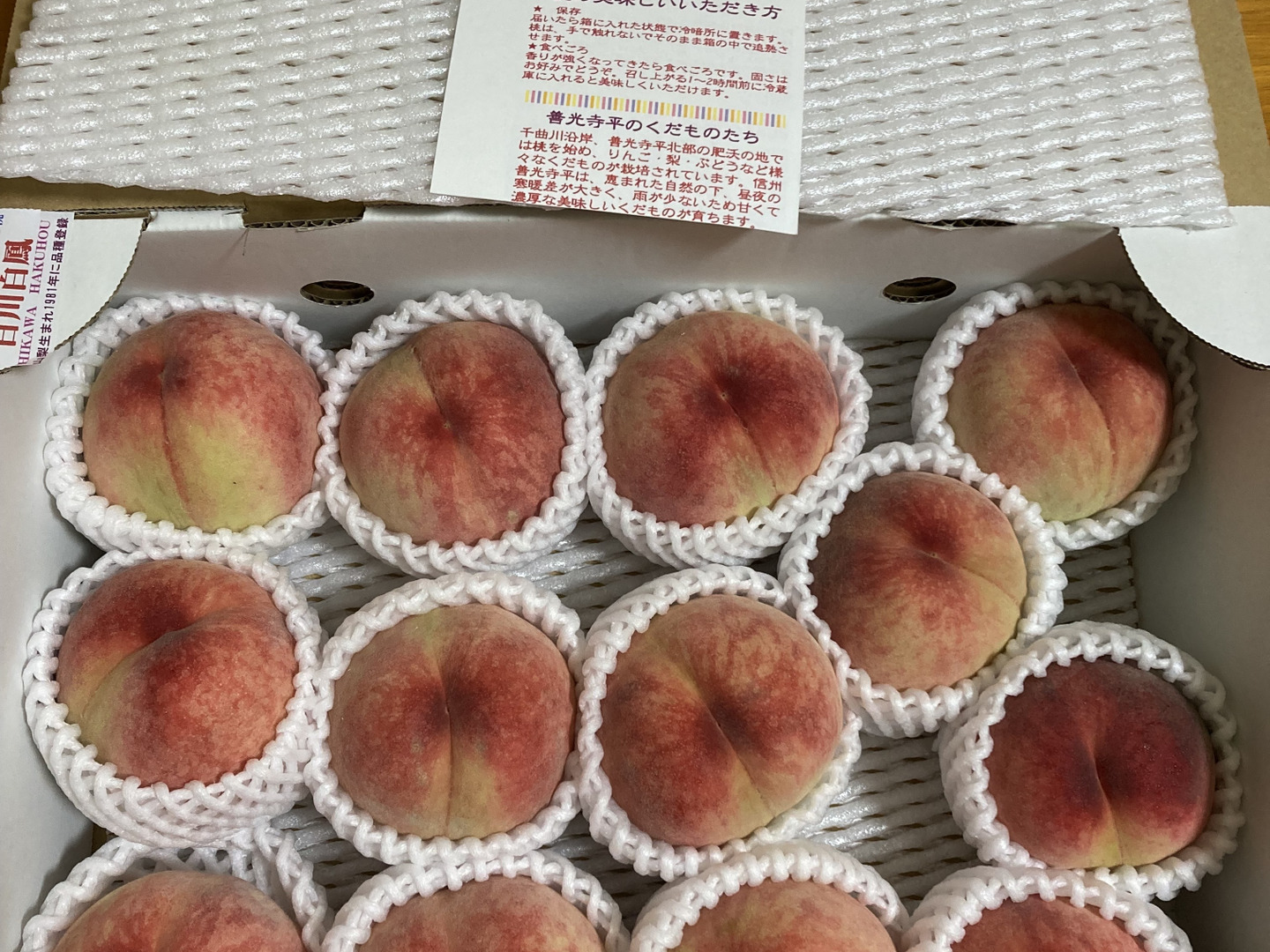 日川白鳳 お値下！！ ご好評販売中の早生品種 家庭専用・訳あり