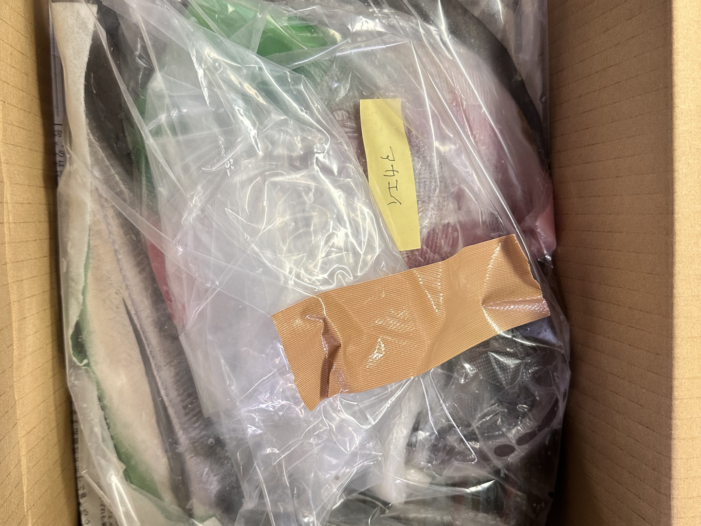 下処理⇒即日発送！ロコフィッシュ鮮魚ボックス2~3kg【エコ包装